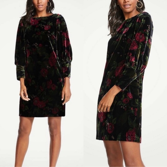 Ann Taylor Floral Velvet Dress - Picture 1 of 11